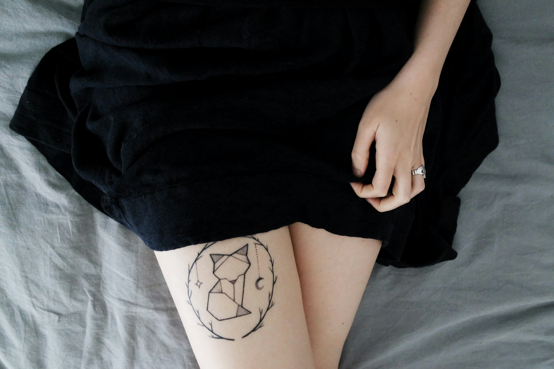 geometric cat